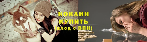 прущие крисы Арсеньев