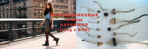 прущие крисы Арсеньев